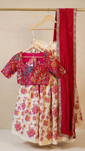 [DP306] DP306 - Ready to Wear Half Half Sarees